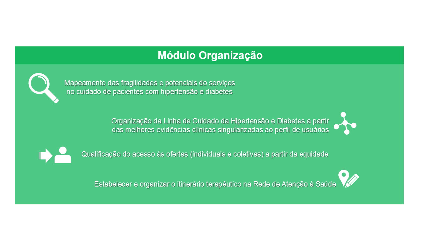 organização