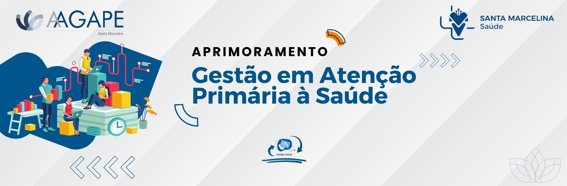 GESTÃO-ATENÇÃO-PRIMÁRIA